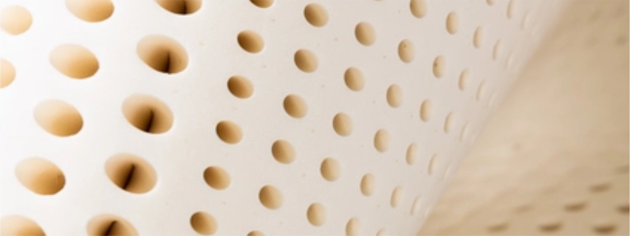 Phoxnix Electropedic Twelve (12) Inch Organic Latex Mattress